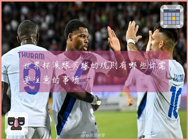 世界杯滚球买球的规则有哪些你需要注意的事项