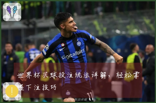 世界杯买球投注玩法详解，轻松掌握下注技巧