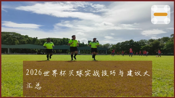2026世界杯买球实战技巧与建议大汇总