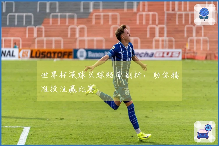 世界杯滚球买球赔率剖析，助你精准投注赢比赛