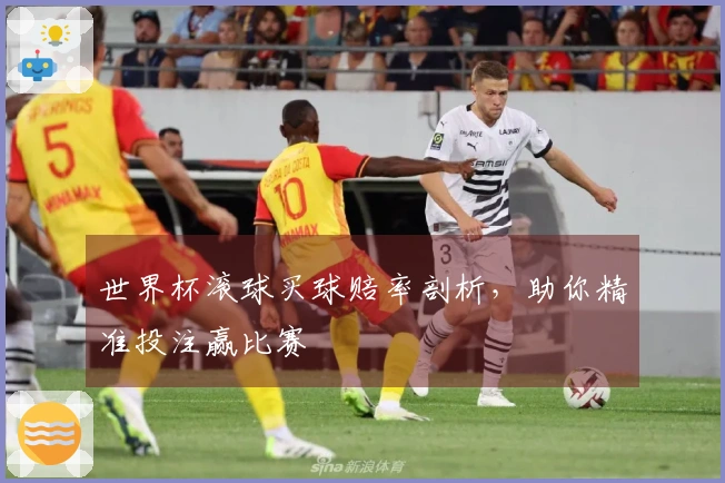世界杯滚球买球赔率剖析，助你精准投注赢比赛