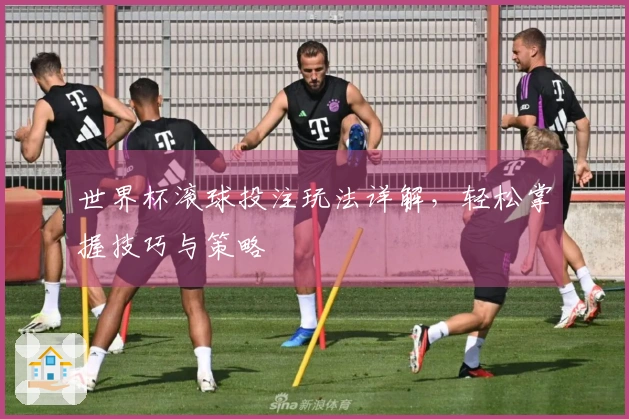 世界杯滚球投注玩法详解，轻松掌握技巧与策略