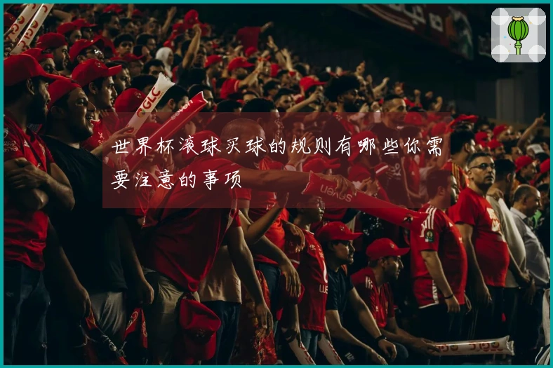 世界杯滚球买球的规则有哪些你需要注意的事项