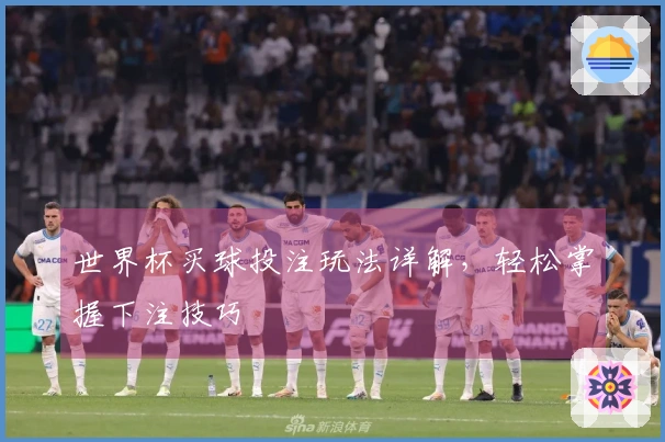 世界杯买球投注玩法详解，轻松掌握下注技巧