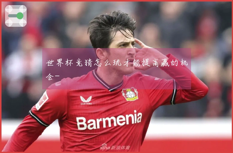 世界杯竞猜怎么玩才能提高赢的机会-