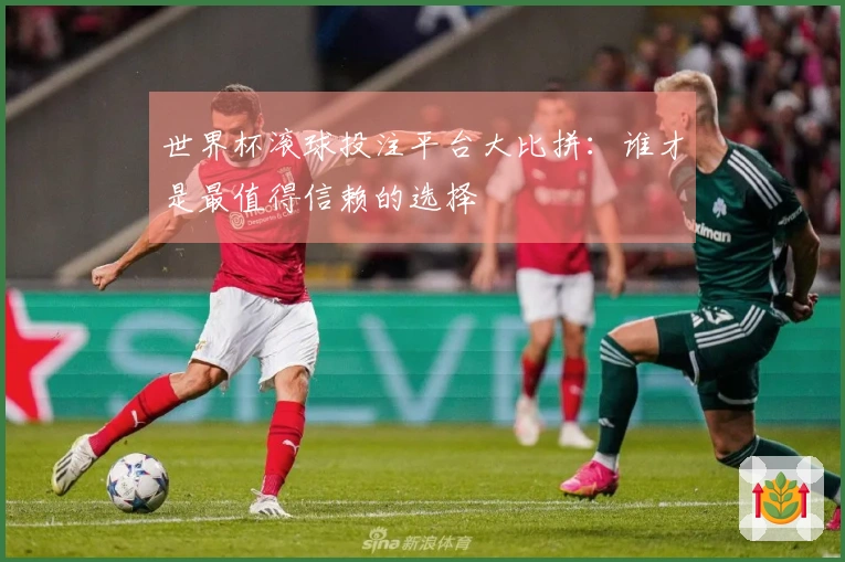 世界杯滚球投注平台大比拼：谁才是最值得信赖的选择