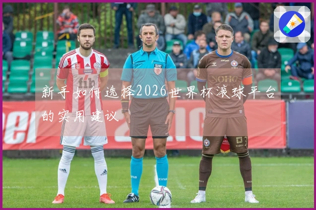 新手如何选择2026世界杯滚球平台的实用建议