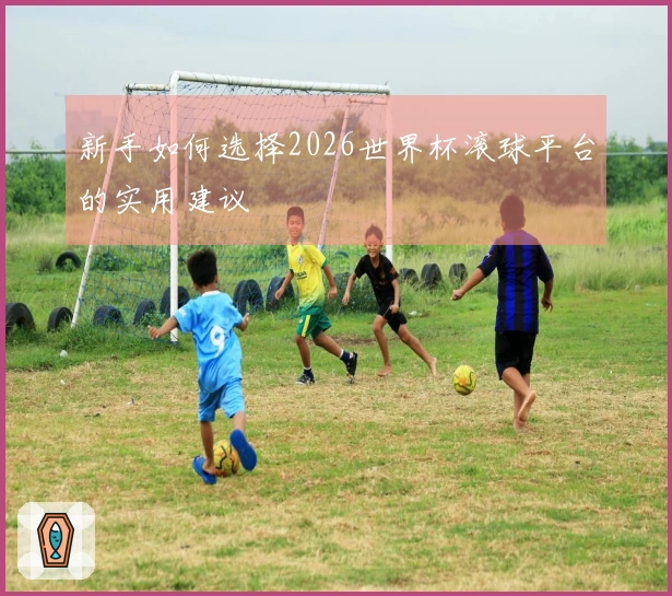 新手如何选择2026世界杯滚球平台的实用建议