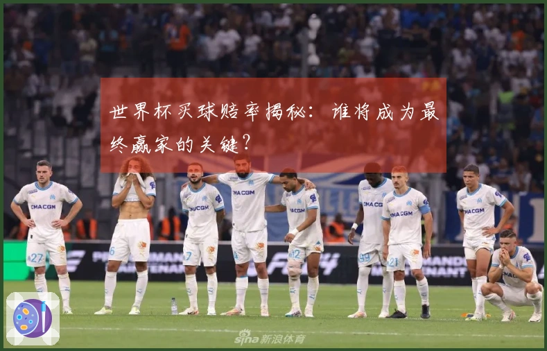 世界杯买球赔率揭秘：谁将成为最终赢家的关键？
