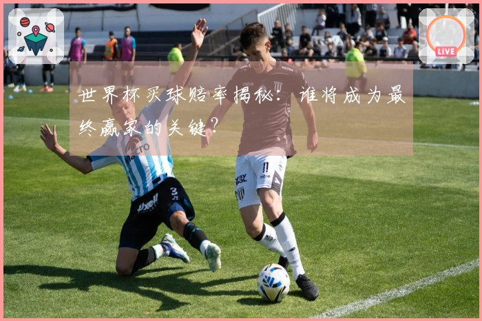 世界杯买球赔率揭秘：谁将成为最终赢家的关键？