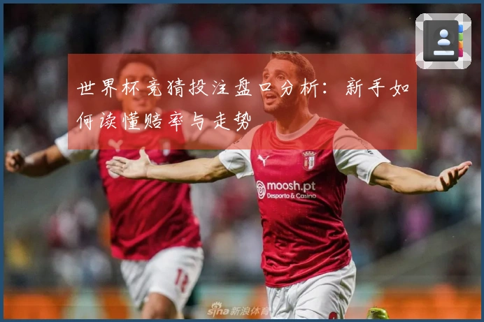 世界杯竞猜投注盘口分析：新手如何读懂赔率与走势