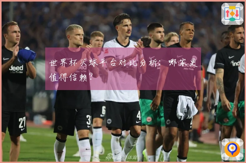 世界杯买球平台对比分析：哪家更值得信赖？